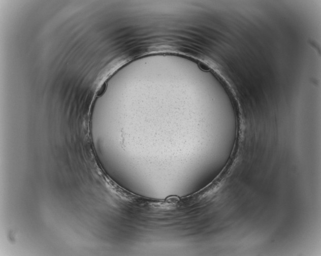 X0000099931145200806131356