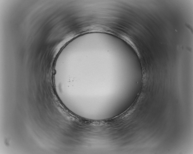 X0000099931146200806131356