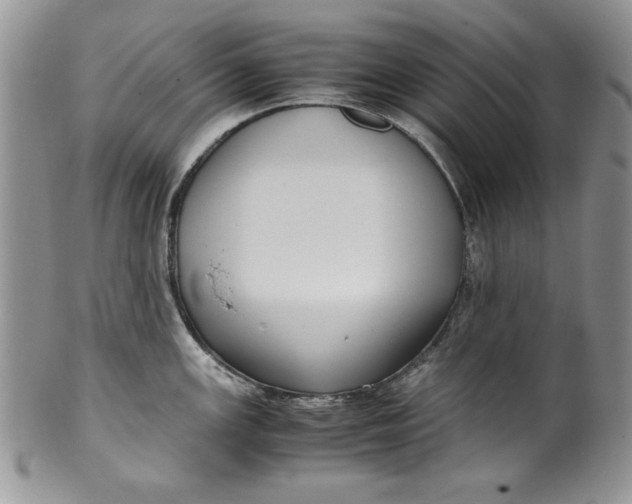 X0000099931147200806131356