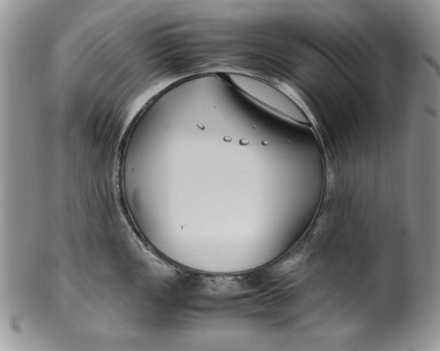 X0000099931149200806131356