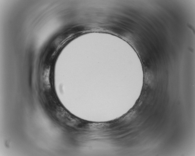 X0000099931150200806131356