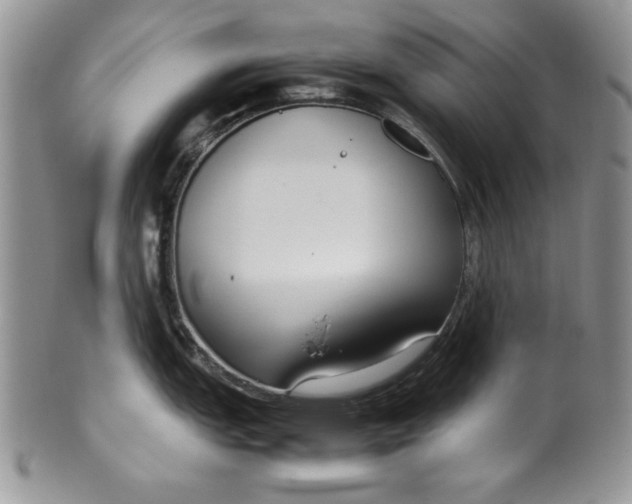 X0000099931151200806131356