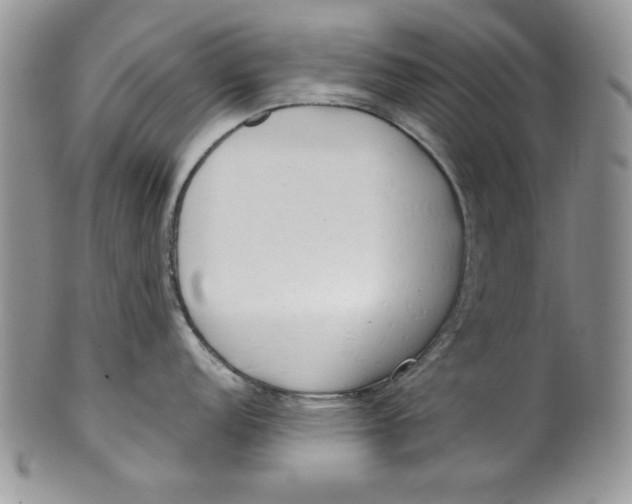 X0000099931152200806131356