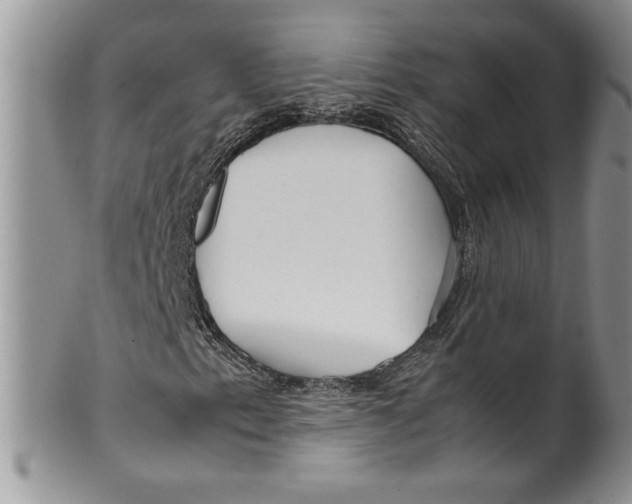 X0000099931153200806131356