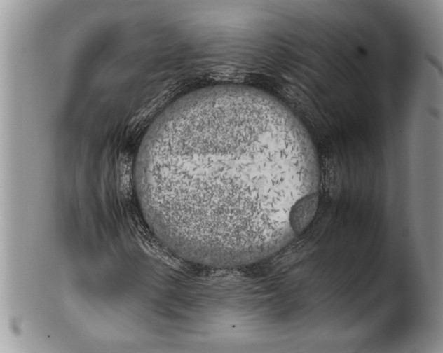 X0000099931154200806131356