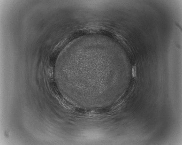 X0000099931155200806131356