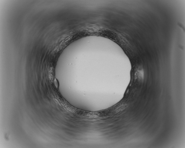 X0000099931156200806131356