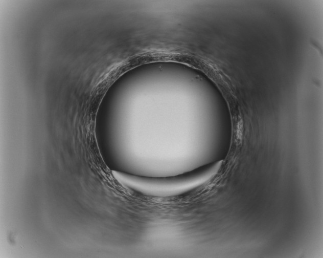 X0000099931157200806131356