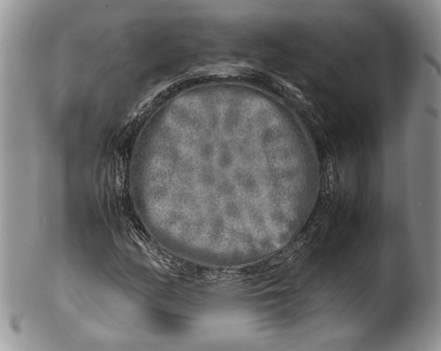 X0000099931158200806131356