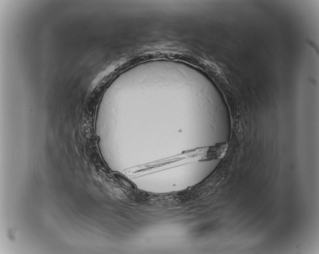 X0000099931159200806131356