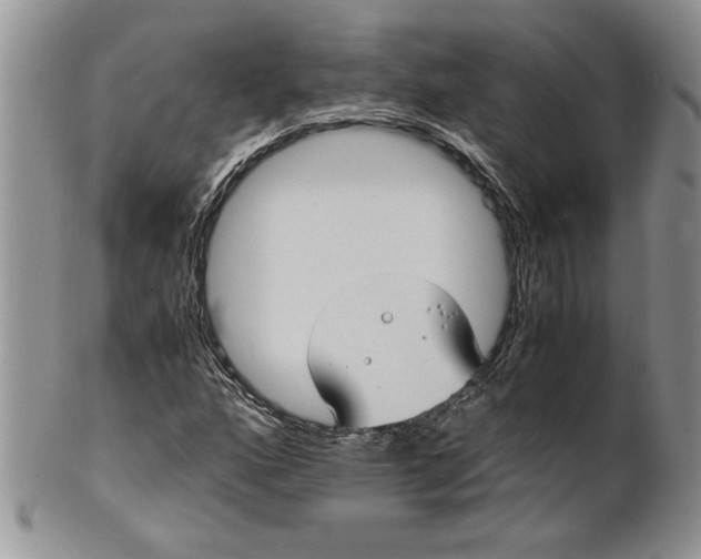 X0000099931160200806131356