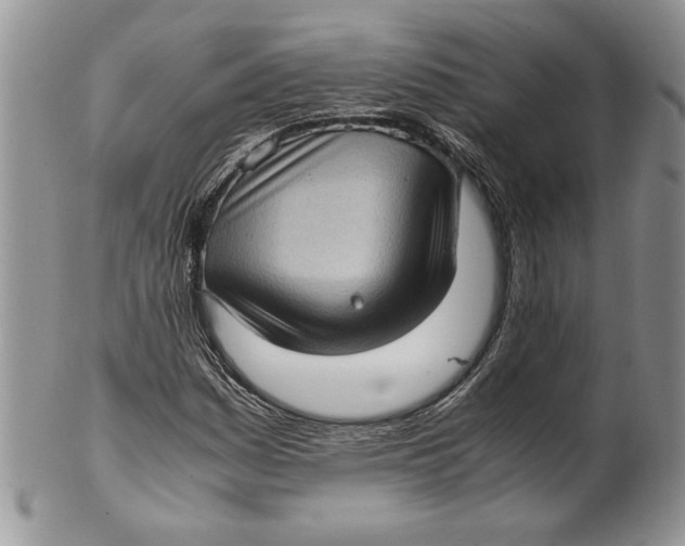 X0000099931161200806131356