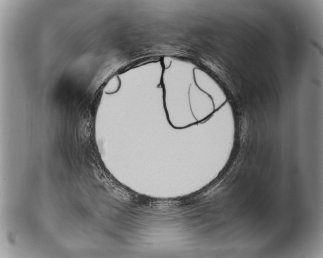 X0000099931163200806131356