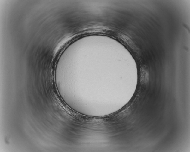 X0000099931164200806131356