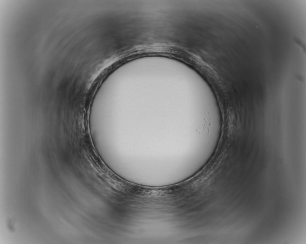 X0000099931166200806131356