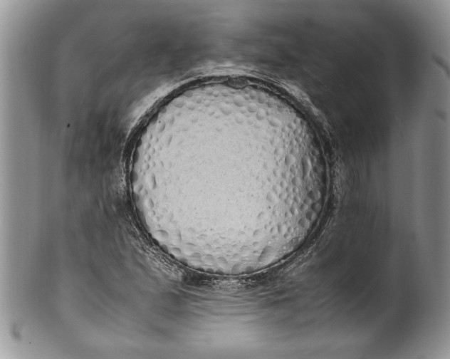 X0000099931167200806131356