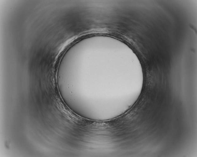 X0000099931168200806131356