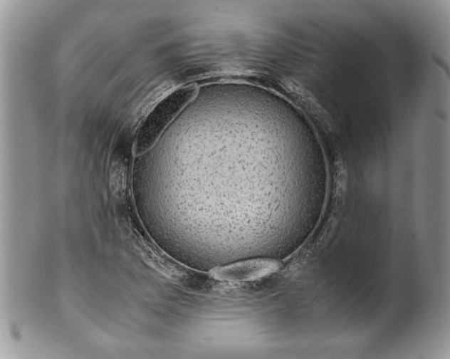 X0000099931169200806131356