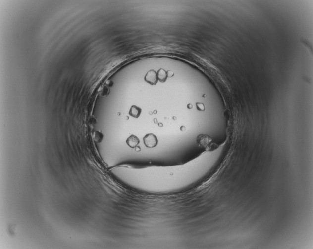 X0000099931170200806131356