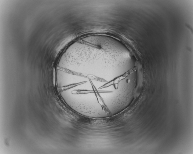 X0000099931171200806131356