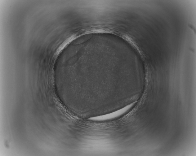 X0000099931173200806131356