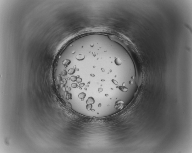 X0000099931174200806131356