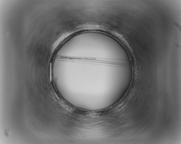 X0000099931175200806131355