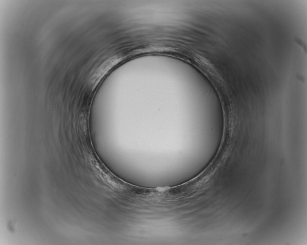 X0000099931177200806131355