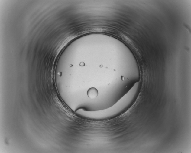 X0000099931178200806131355