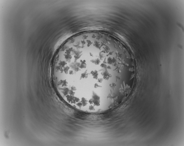 X0000099931179200806131355