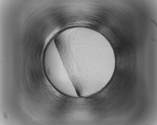 X0000099931180200806131355