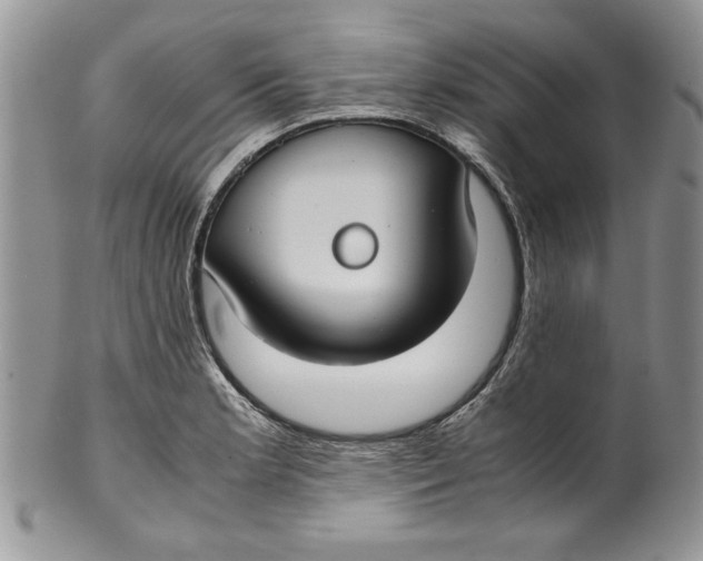 X0000099931181200806131355