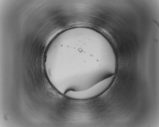 X0000099931182200806131355