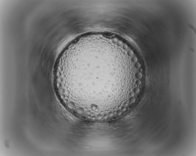 X0000099931183200806131355