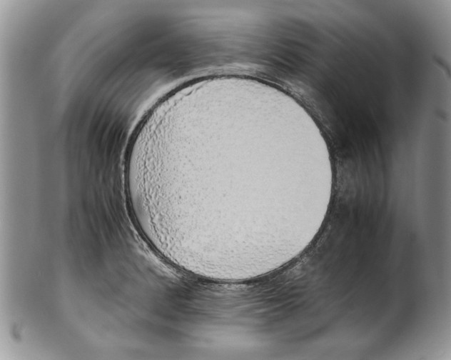 X0000099931184200806131355