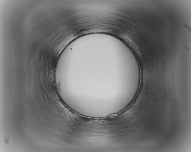 X0000099931185200806131355