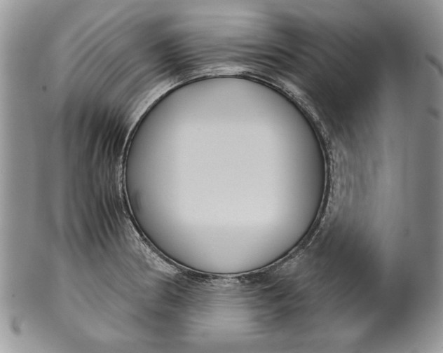 X0000099931186200806131355