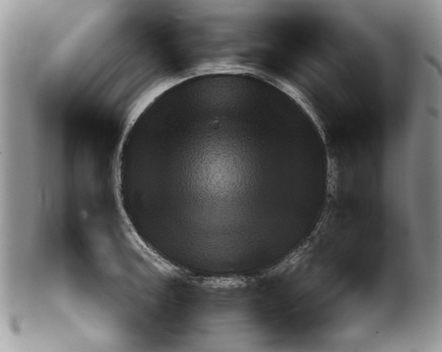 X0000099931187200806131355