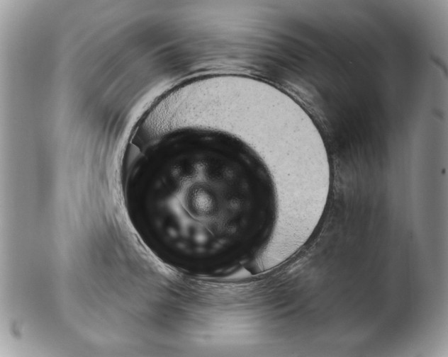 X0000099931188200806131355