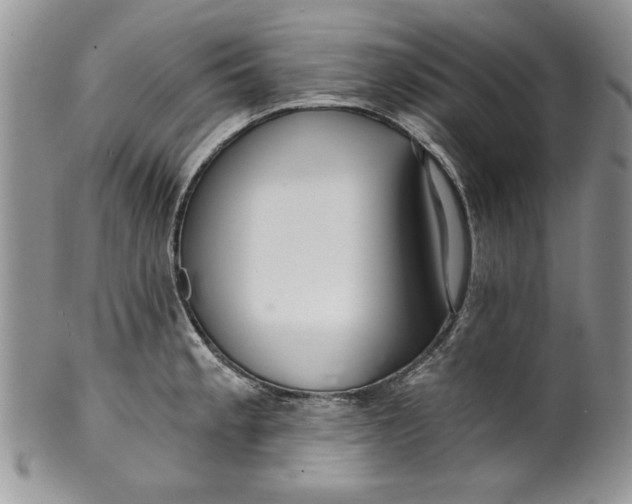 X0000099931189200806131355