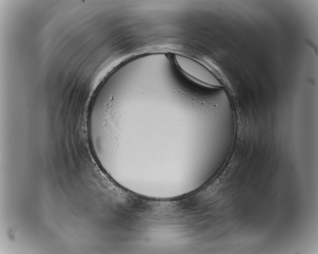 X0000099931192200806131355