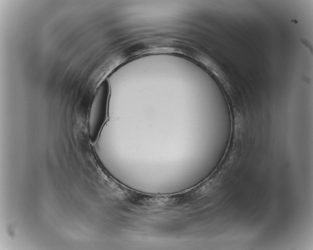 X0000099931193200806131355