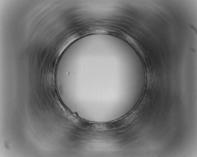 X0000099931194200806131355