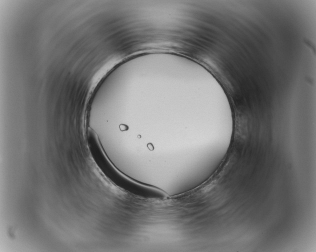 X0000099931196200806131355