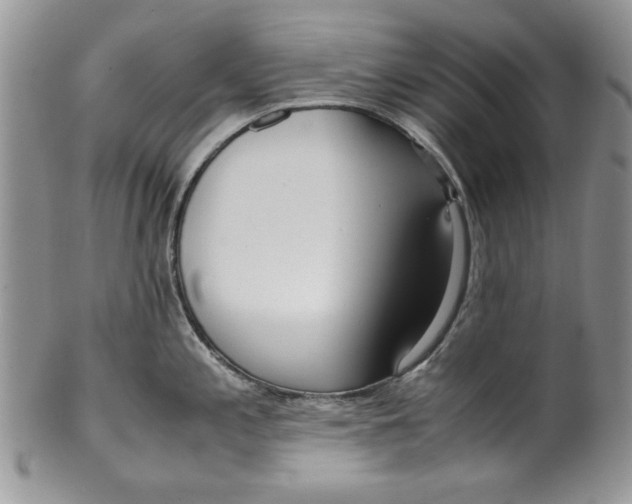 X0000099931197200806131355