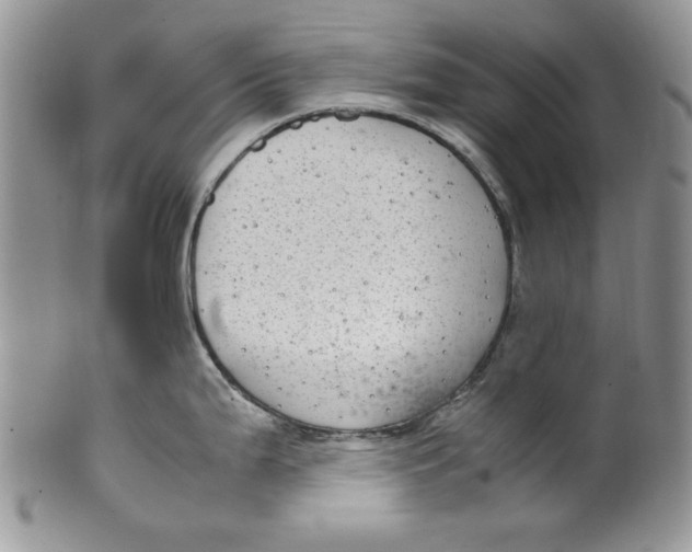 X0000099931199200806131355