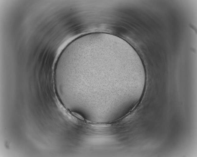 X0000099931200200806131355