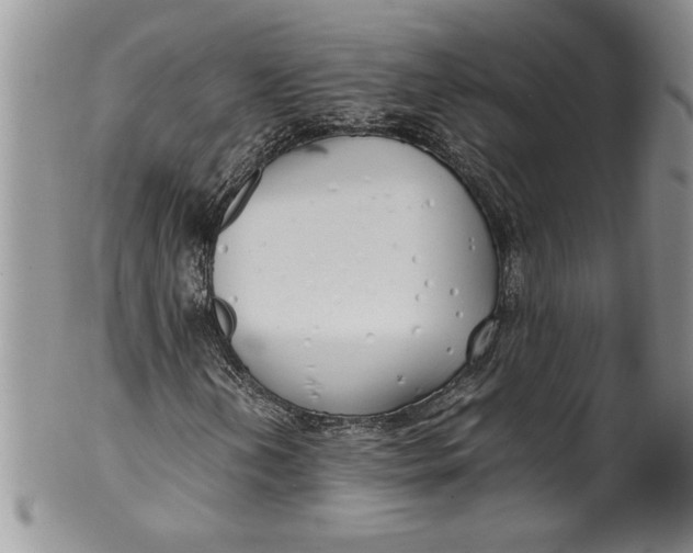 X0000099931202200806131355