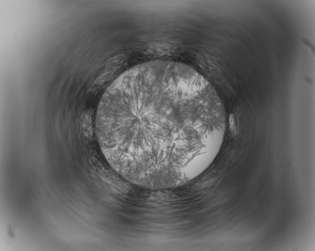 X0000099931203200806131355