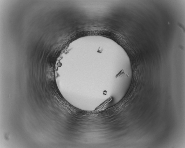 X0000099931204200806131355